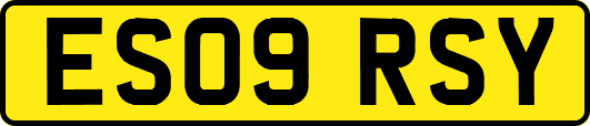 ES09RSY