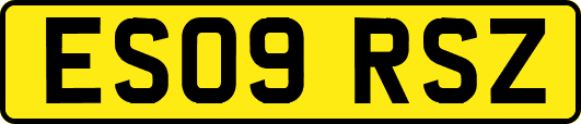 ES09RSZ