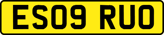 ES09RUO