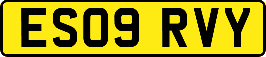 ES09RVY