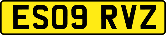 ES09RVZ