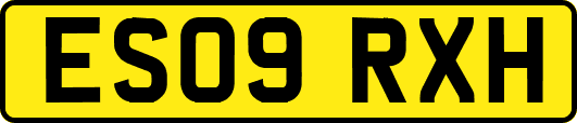 ES09RXH