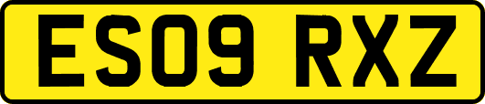 ES09RXZ
