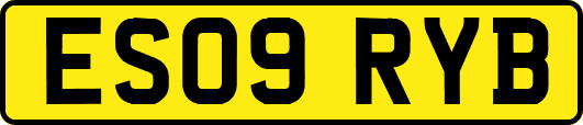 ES09RYB