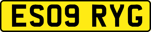 ES09RYG