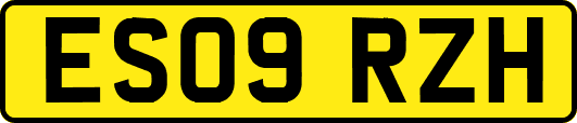 ES09RZH