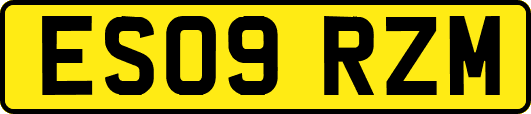 ES09RZM