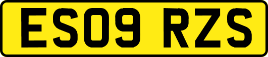 ES09RZS