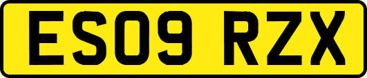 ES09RZX