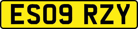 ES09RZY