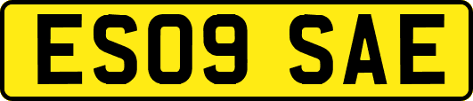 ES09SAE