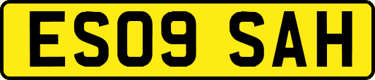 ES09SAH
