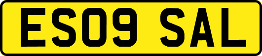 ES09SAL