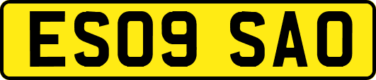 ES09SAO