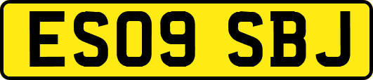 ES09SBJ