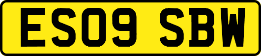 ES09SBW