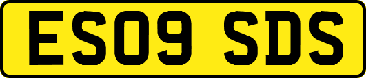 ES09SDS