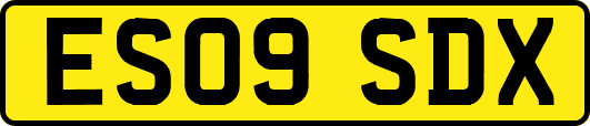 ES09SDX