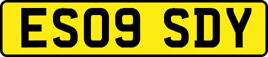 ES09SDY