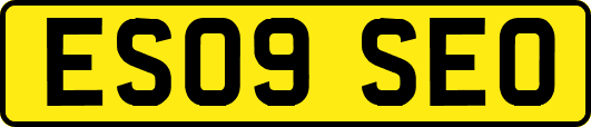 ES09SEO