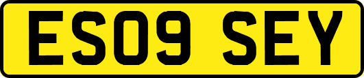 ES09SEY