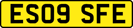 ES09SFE