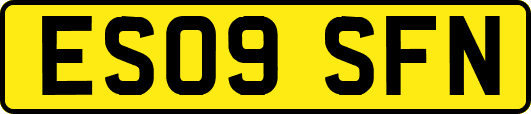 ES09SFN