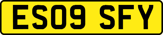 ES09SFY