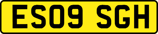 ES09SGH