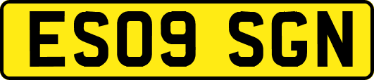ES09SGN