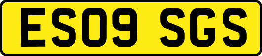 ES09SGS