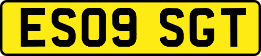 ES09SGT