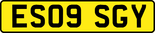 ES09SGY