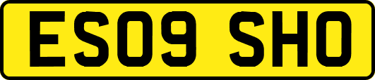 ES09SHO