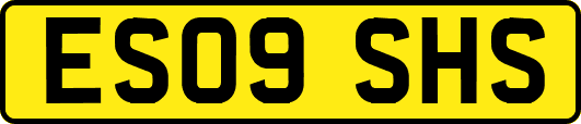 ES09SHS