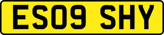 ES09SHY