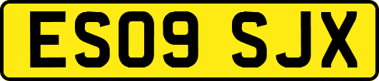 ES09SJX
