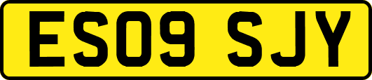 ES09SJY