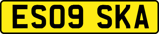 ES09SKA