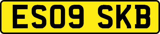 ES09SKB