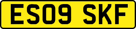 ES09SKF
