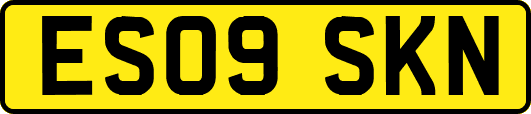 ES09SKN