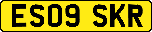ES09SKR