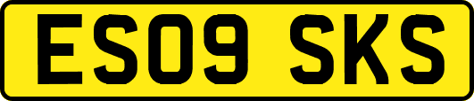 ES09SKS