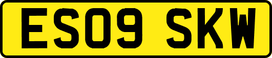 ES09SKW