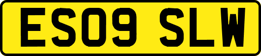 ES09SLW
