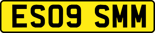 ES09SMM