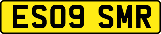 ES09SMR