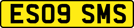 ES09SMS