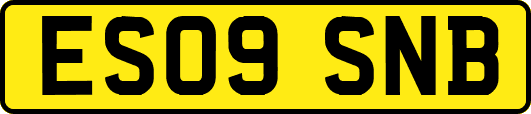 ES09SNB